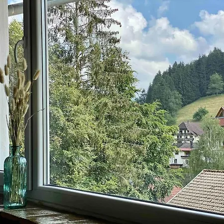 Ferienhaus **schwarzwald-haus Mit Sauna** *