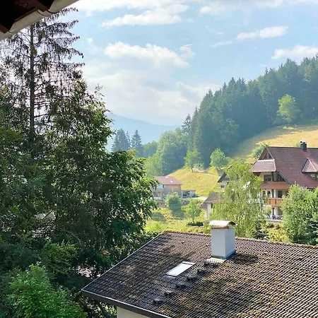 **schwarzwald-haus Mit Sauna**